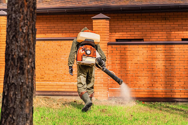 Trusted Cockroach Control service in North Crossett, AR - Nex Pest Control